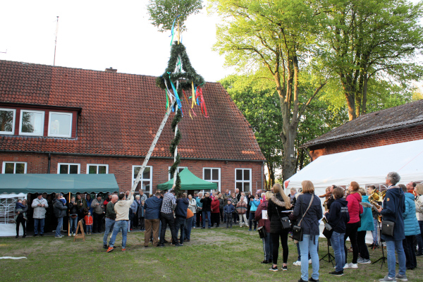 Maibaum Bookhorn